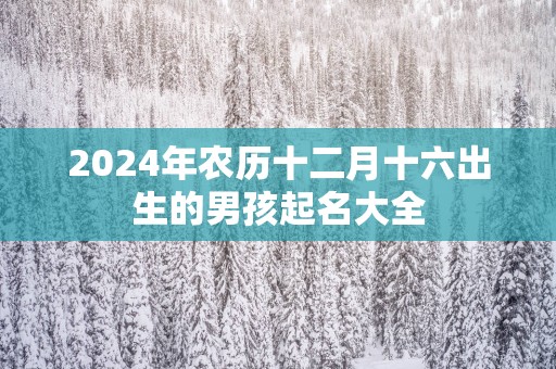 2025年农历十二月十六出生的男孩起名大全
