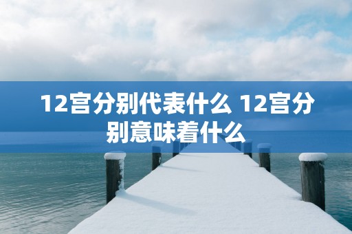 12宫分别代表什么 12宫分别意味着什么