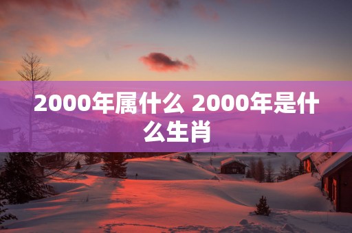 2000年属什么 2000年是什么生肖
