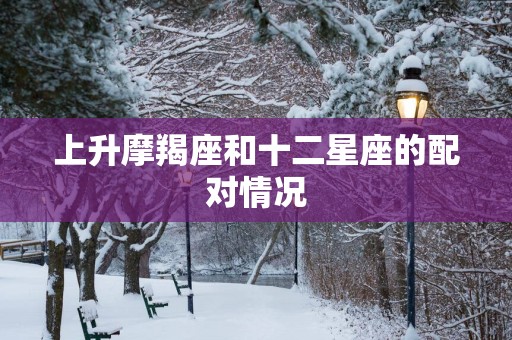 上升摩羯座和十二星座的配对情况
