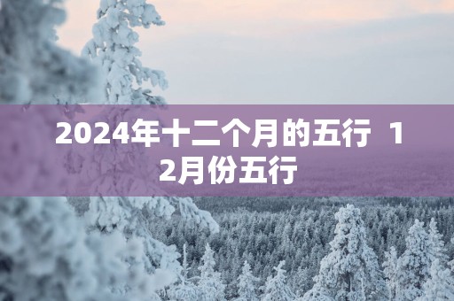 2025年十二个月的五行  12月份五行