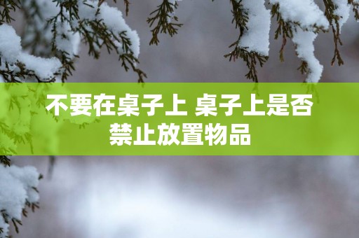 不要在桌子上 桌子上是否禁止放置物品