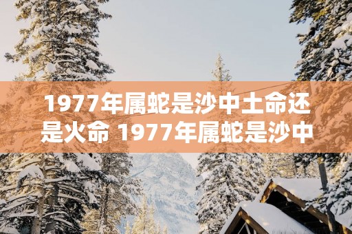 1977年属蛇是沙中土命还是火命 1977年属蛇是沙中土命吗