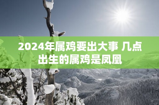 2025年属鸡要出大事 几点出生的属鸡是凤凰
