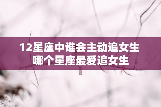 12星座中谁会主动追女生 哪个星座最爱追女生