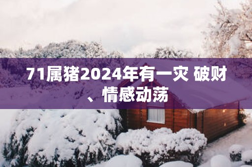 71属猪2025年有一灾 破财、情感动荡
