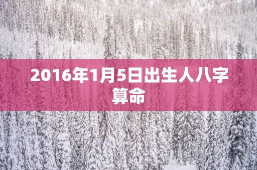 2016年1月5日出生人八字算命