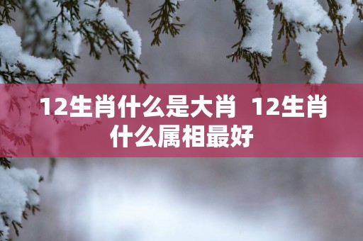 12生肖什么是大肖  12生肖什么属相最好