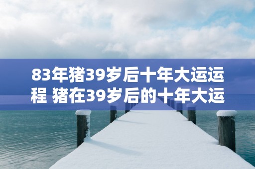 83年猪39岁后十年大运运程 猪在39岁后的十年大运运程如何