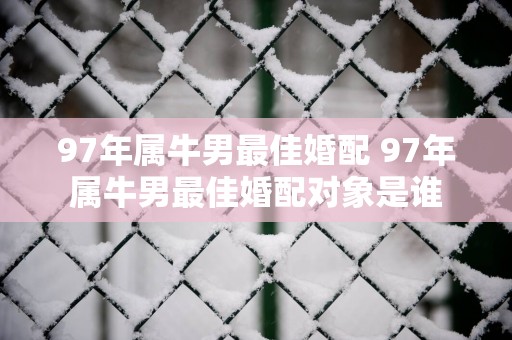 97年属牛男最佳婚配 97年属牛男最佳婚配对象是谁