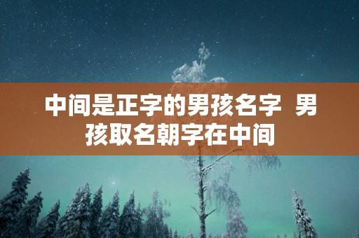中间是正字的男孩名字  男孩取名朝字在中间