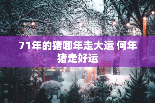 71年的猪哪年走大运 何年猪走好运