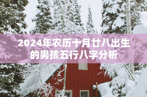 2025年农历十月廿八出生的男孩五行八字分析