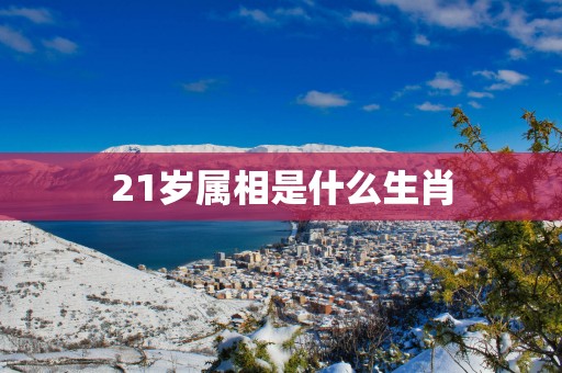 21岁属相是什么生肖
