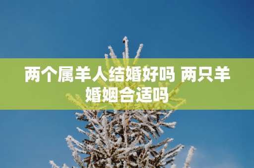 两个属羊人结婚好吗 两只羊婚姻合适吗