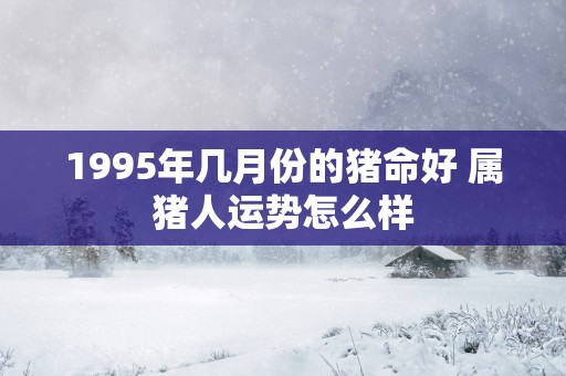 1995年几月份的猪命好 属猪人运势怎么样