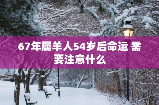 67年属羊人54岁后命运 需要注意什么