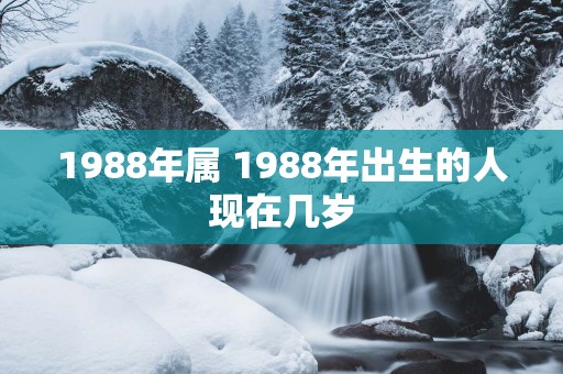 1988年属 1988年出生的人现在几岁
