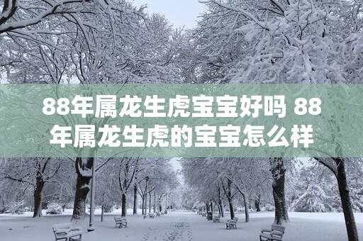 88年属龙生虎宝宝好吗 88年属龙生虎的宝宝怎么样