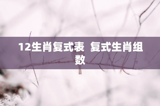 12生肖复式表  复式生肖组数