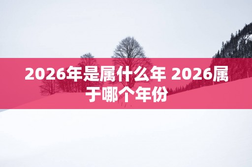 2026年是属什么年 2026属于哪个年份