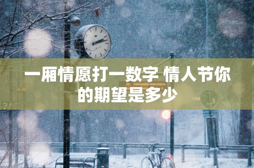 一厢情愿打一数字 情人节你的期望是多少