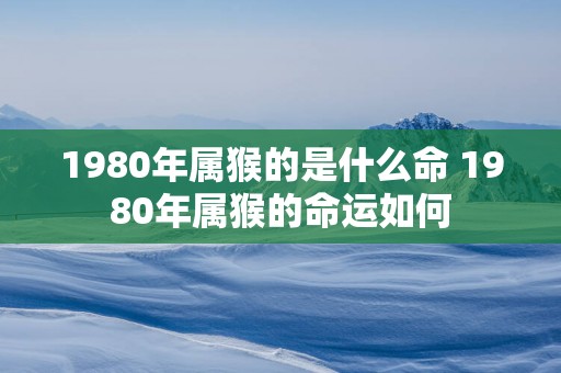 1980年属猴的是什么命 1980年属猴的命运如何