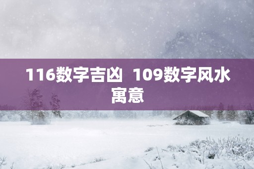 116数字吉凶  109数字风水寓意