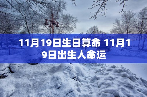 11月19日生日算命 11月19日出生人命运
