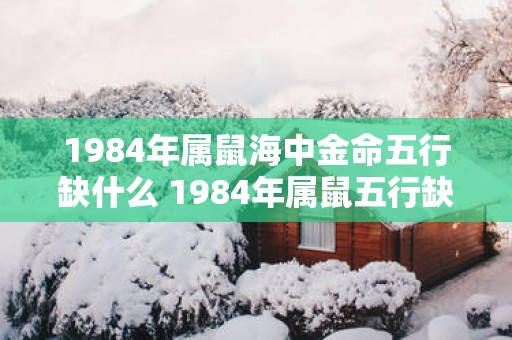 1984年属鼠海中金命五行缺什么 1984年属鼠五行缺什么