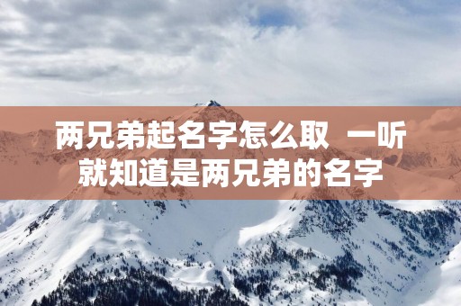 两兄弟起名字怎么取  一听就知道是两兄弟的名字