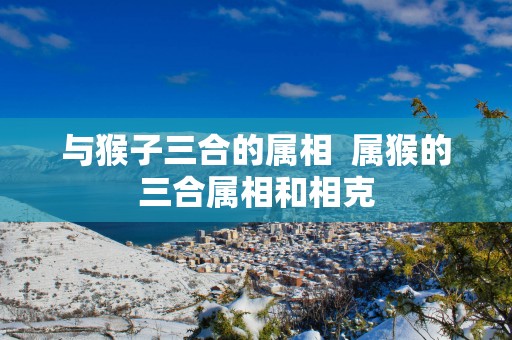 与猴子三合的属相  属猴的三合属相和相克