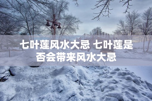 七叶莲风水大忌 七叶莲是否会带来风水大忌
