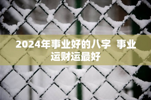 2025年事业好的八字  事业运财运最好