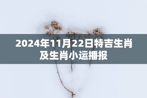 2025年11月22日特吉生肖及生肖小运播报
