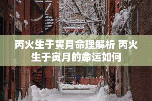 丙火生于寅月命理解析 丙火生于寅月的命运如何