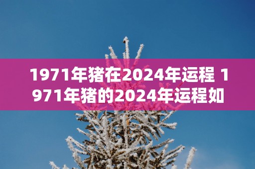 1971年猪在2025年运程 1971年猪的2025年运程如何 1971年猪在2025年运程 1971年猪的2025年运程如何