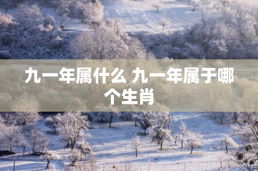 九一年属什么 九一年属于哪个生肖