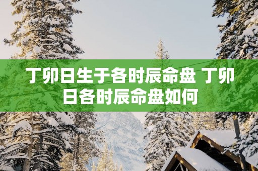 丁卯日生于各时辰命盘 丁卯日各时辰命盘如何