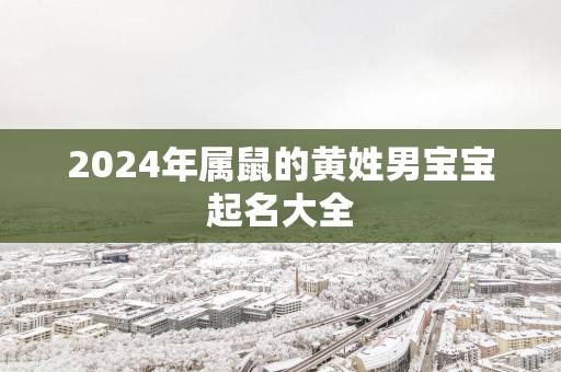2025年属鼠的黄姓男宝宝起名大全