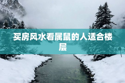 买房风水看属鼠的人适合楼层