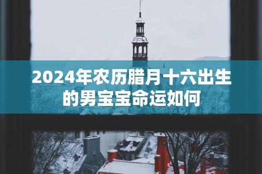 2025年农历腊月十六出生的男宝宝命运如何