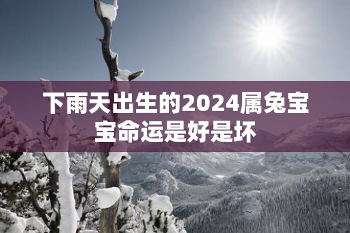 下雨天出生的2025属兔宝宝命运是好是坏