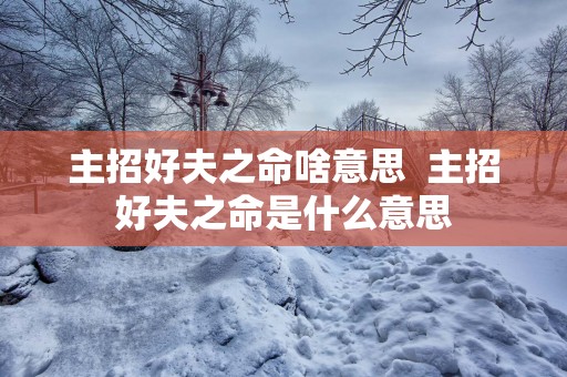 主招好夫之命啥意思  主招好夫之命是什么意思