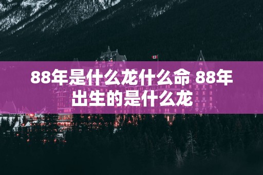 88年是什么龙什么命 88年出生的是什么龙