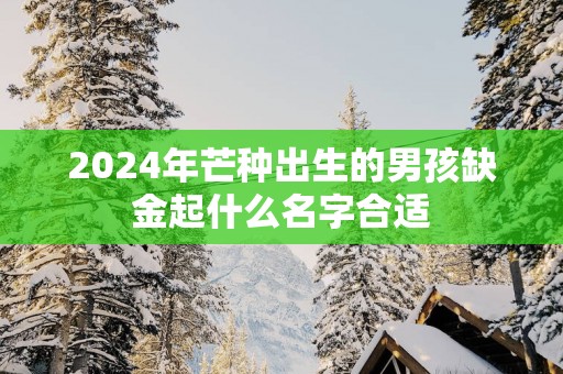 2025年芒种出生的男孩缺金起什么名字合适