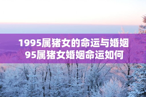 1995属猪女的命运与婚姻 95属猪女婚姻命运如何
