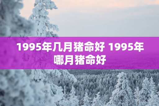 1995年几月猪命好 1995年哪月猪命好