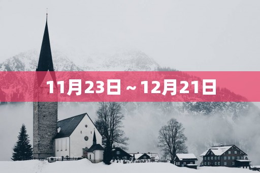 11月23日～12月21日