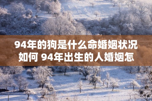 94年的狗是什么命婚姻状况如何 94年出生的人婚姻怎么样